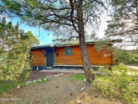 Photo of 3403 Top View Road, Overgaard, AZ 85933 (MLS # 260773)