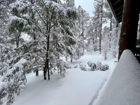 Tiny photo for 1261 S Spruce Lane, Show Low, AZ 85901 (MLS # 261621)