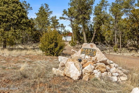 Tiny photo for 3331 Ox Bow Bend, Overgaard, AZ 85933 (MLS # 261366)