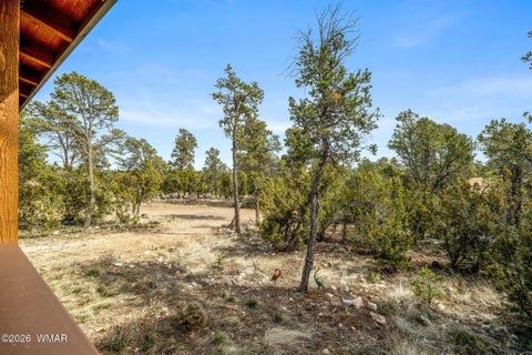 Tiny photo for 3331 Ox Bow Bend, Overgaard, AZ 85933 (MLS # 261366)