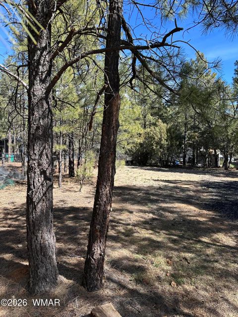 Tiny photo for 701 S 30th Avenue, Show Low, AZ 85901 (MLS # 259725)