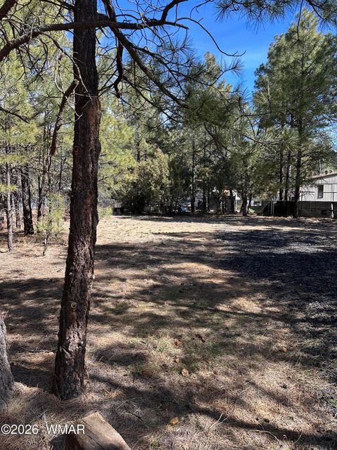 Tiny photo for 701 S 30th Avenue, Show Low, AZ 85901 (MLS # 259725)