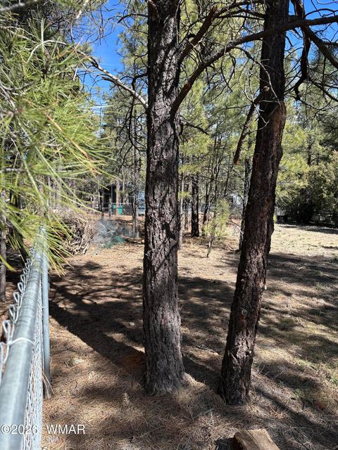 Tiny photo for 701 S 30th Avenue, Show Low, AZ 85901 (MLS # 259725)