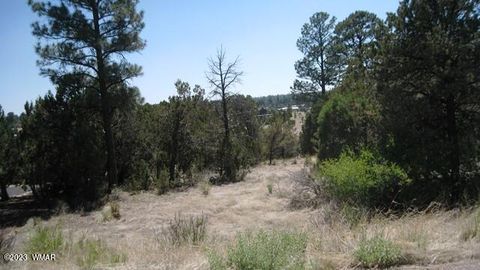 Tiny photo for 2223 Fairway Drive, Overgaard, AZ 85933 (MLS # 254735)