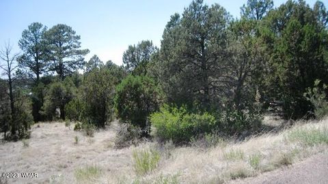 Tiny photo for 2223 Fairway Drive, Overgaard, AZ 85933 (MLS # 254735)