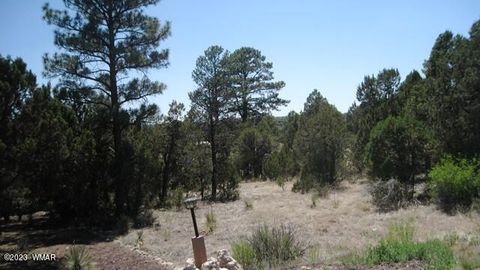 Photo of 2223 Fairway Drive, Overgaard, AZ 85933 (MLS # 254735)