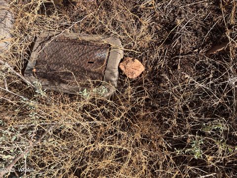 Tiny photo for 2409 E Mountain View Drive, Snowflake, AZ 85937 (MLS # 258639)