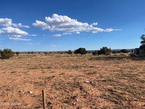 Tiny photo for 2409 E Mountain View Drive, Snowflake, AZ 85937 (MLS # 258639)