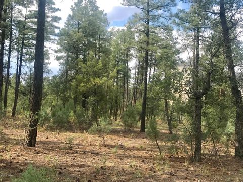 Tiny photo for 1751-1781 W Deuce Of Clubs, Show Low, AZ 85901 (MLS # 257320)