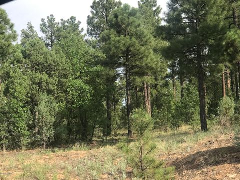 Tiny photo for 1751-1781 W Deuce Of Clubs, Show Low, AZ 85901 (MLS # 257320)