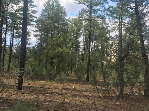 Tiny photo for 1751-1781 W Deuce Of Clubs, Show Low, AZ 85901 (MLS # 257320)