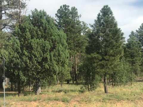 Tiny photo for 1751-1781 W Deuce Of Clubs, Show Low, AZ 85901 (MLS # 257320)