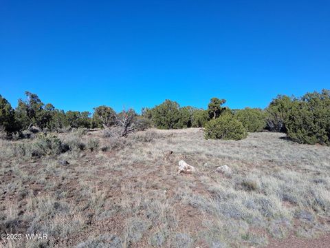 Tiny photo for 68 N 8171, Concho, AZ 85924 (MLS # 258637)
