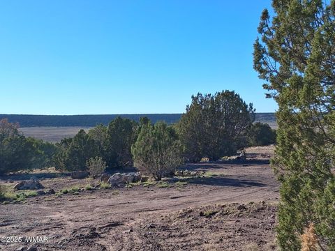 Photo of 68 N 8171, Concho, AZ 85924 (MLS # 258637)