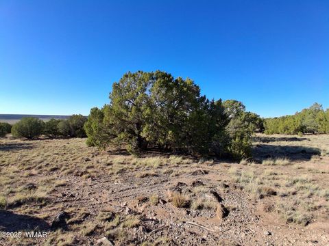 Tiny photo for 68 N 8171, Concho, AZ 85924 (MLS # 258637)