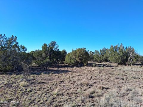 Tiny photo for 68 N 8171, Concho, AZ 85924 (MLS # 258637)
