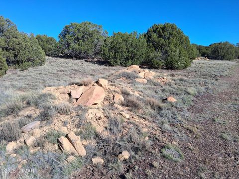 Tiny photo for 68 N 8171, Concho, AZ 85924 (MLS # 258637)