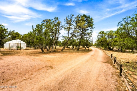 Tiny photo for 3071 Ponderosa Road, Overgaard, AZ 85933 (MLS # 262898)