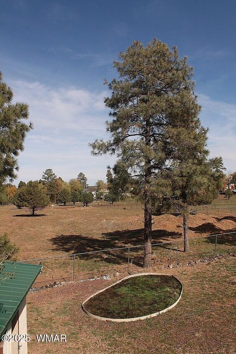 Tiny photo for 1888 Meadow Street, Lakeside, AZ 85929 (MLS # 258542)