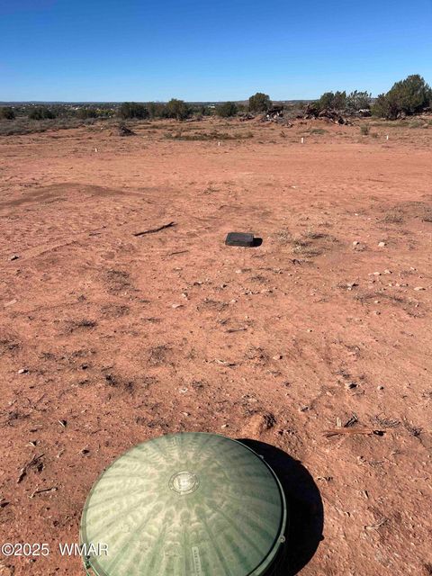 Tiny photo for 1791 E Mountain View, Snowflake, AZ 85937 (MLS # 258389)