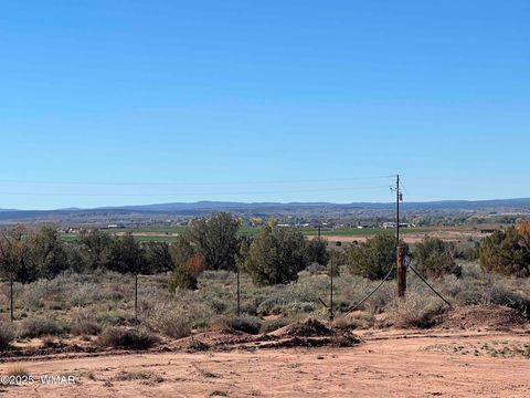 Tiny photo for 1791 E Mountain View, Snowflake, AZ 85937 (MLS # 258389)