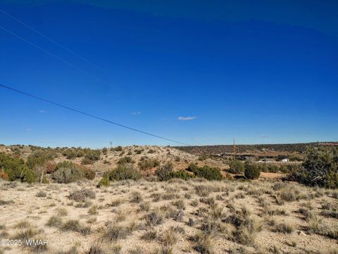 Tiny photo for Parcel 1 W Shumway Rd, Taylor, AZ 85939 (MLS # 258767)