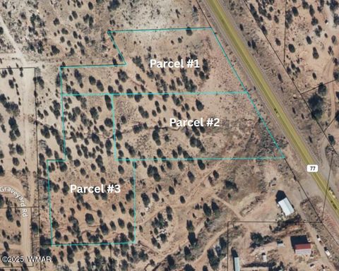 Tiny photo for Parcel 1 W Shumway Rd, Taylor, AZ 85939 (MLS # 258767)