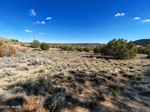 Tiny photo for Parcel 1 W Shumway Rd, Taylor, AZ 85939 (MLS # 258767)