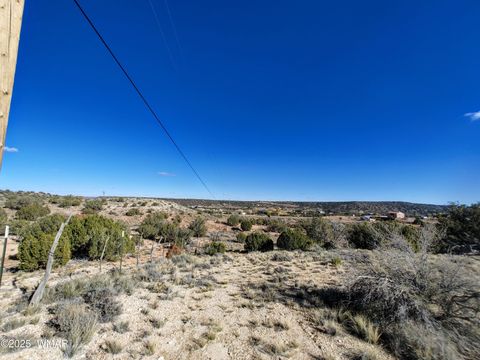 Tiny photo for Parcel 1 W Shumway Rd, Taylor, AZ 85939 (MLS # 258767)