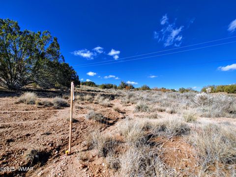 Tiny photo for Parcel 1 W Shumway Rd, Taylor, AZ 85939 (MLS # 258767)