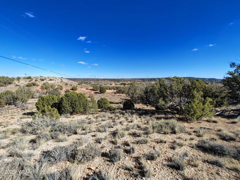 Photo of Parcel 1 W Shumway Rd, Taylor, AZ 85939 (MLS # 258767)