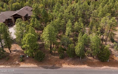 Tiny photo for 1820 S Monkshood Road, Show Low, AZ 85901 (MLS # 256269)