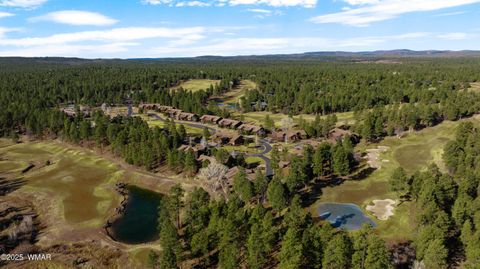 Tiny photo for 1820 S Monkshood Road, Show Low, AZ 85901 (MLS # 256269)