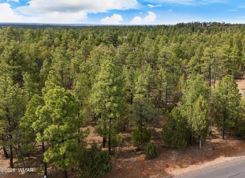 Tiny photo for 1820 S Monkshood Road, Show Low, AZ 85901 (MLS # 256269)