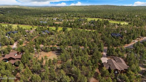 Tiny photo for 1820 S Monkshood Road, Show Low, AZ 85901 (MLS # 256269)