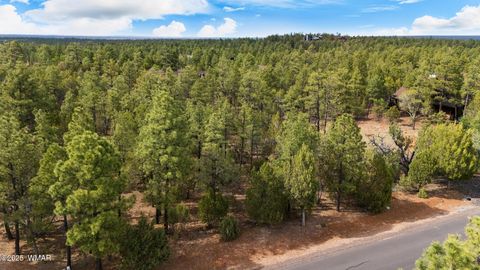 Photo of 1820 S Monkshood Road, Show Low, AZ 85901 (MLS # 256269)