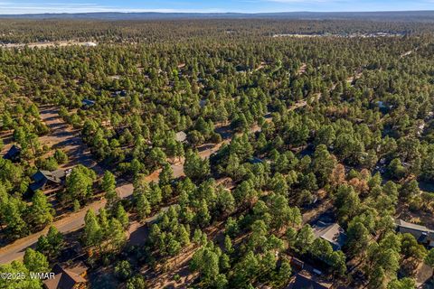 Tiny photo for 2202 Forest Park Drive, Overgaard, AZ 85933 (MLS # 259850)