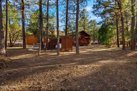 Tiny photo for 2202 Forest Park Drive, Overgaard, AZ 85933 (MLS # 259850)