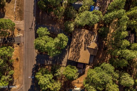 Tiny photo for 2202 Forest Park Drive, Overgaard, AZ 85933 (MLS # 259850)