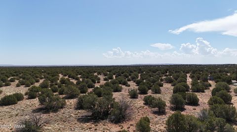 Photo of 3981 Apache Road, Snowflake, AZ 85937 (MLS # 255790)