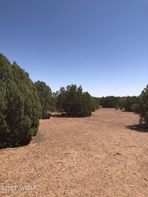 Tiny photo for 3981 Apache Road, Snowflake, AZ 85937 (MLS # 255790)