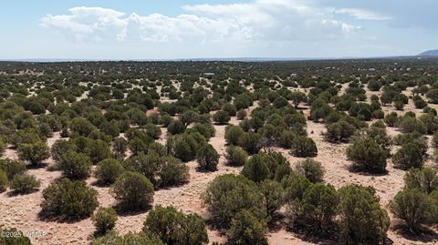 Tiny photo for 3981 Apache Road, Snowflake, AZ 85937 (MLS # 255790)