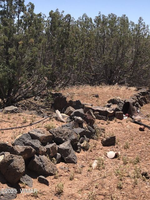 Tiny photo for 3981 Apache Road, Snowflake, AZ 85937 (MLS # 255790)