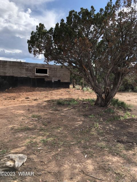 Tiny photo for 3981 Apache Road, Snowflake, AZ 85937 (MLS # 255790)