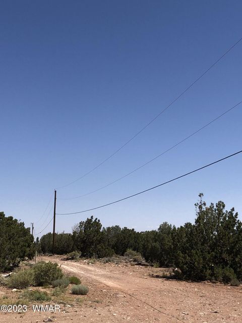 Tiny photo for 3981 Apache Road, Snowflake, AZ 85937 (MLS # 255790)