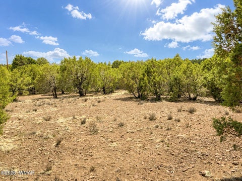 Tiny photo for 15 County Road 3180, Vernon, AZ 85940 (MLS # 262160)