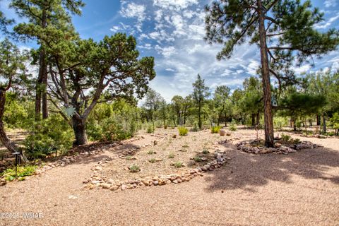 Tiny photo for 1491 W Snow Creek Trail, Show Low, AZ 85901 (MLS # 257111)