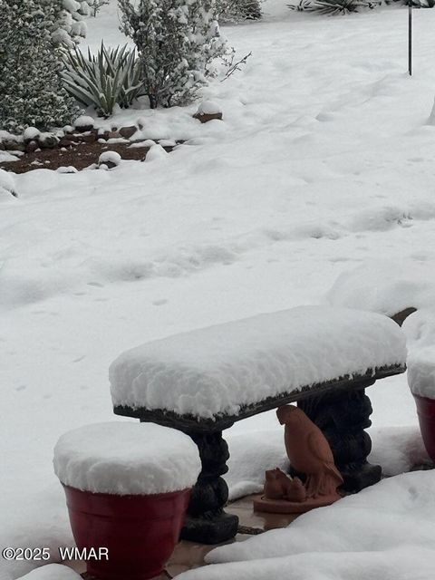 Tiny photo for 1491 W Snow Creek Trail, Show Low, AZ 85901 (MLS # 257111)