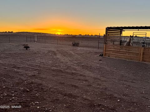 Tiny photo for 660 Foothills Boulevard Boulevard, Taylor, AZ 85939 (MLS # 257713)