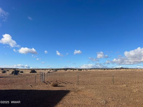 Tiny photo for 660 Foothills Boulevard Boulevard, Taylor, AZ 85939 (MLS # 257713)